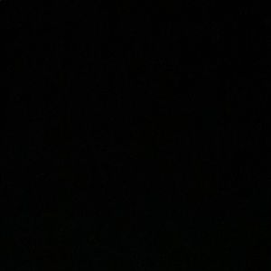 Meet your Posher, Cora